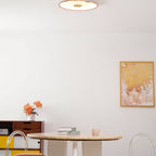 Acrylic Lotus Leaf Ceiling Light