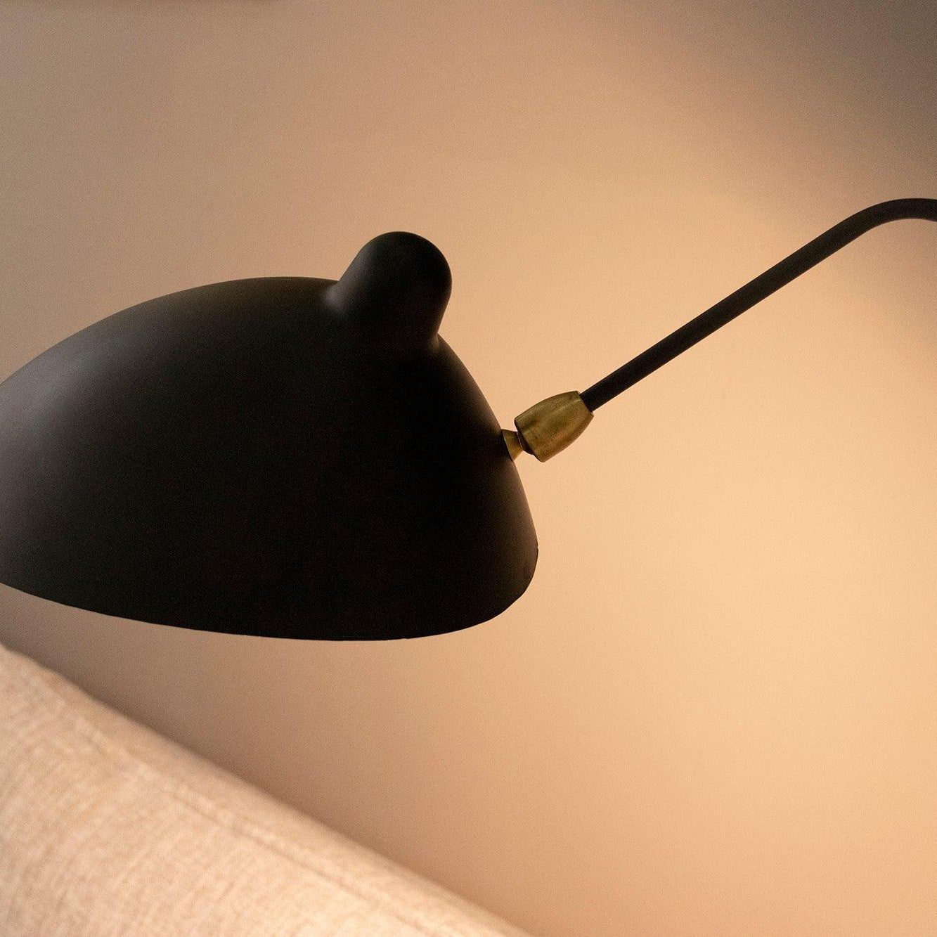 Adjustable Arm Wall Light