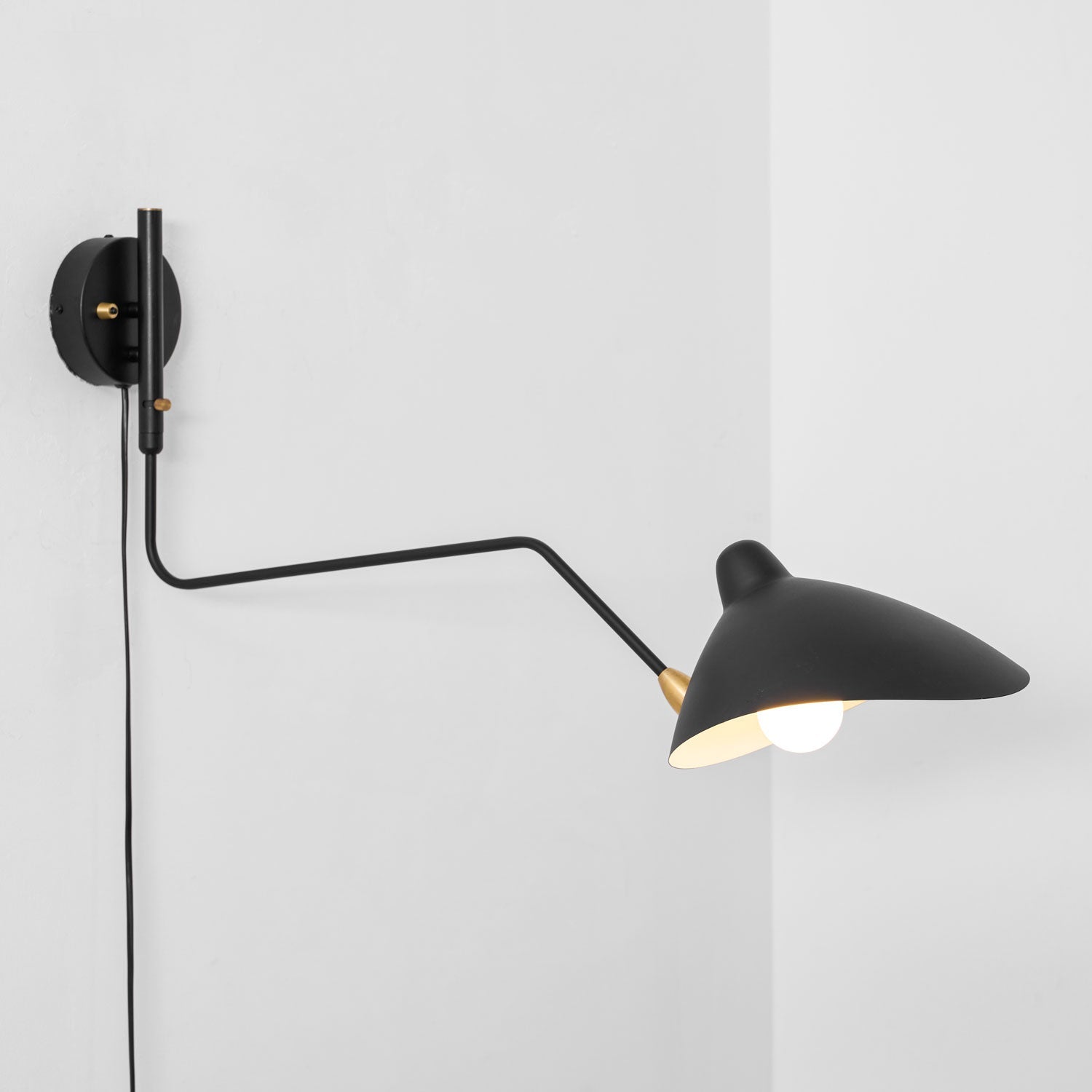 Adjustable Arm Wall Light