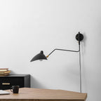 Adjustable Arm Wall Light