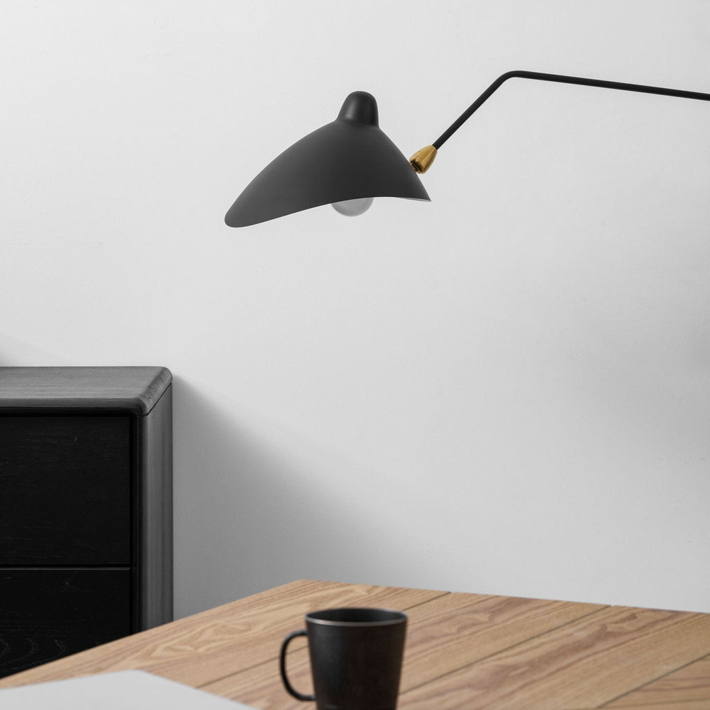 Adjustable Arm Wall Light