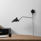 Adjustable Arm Wall Light