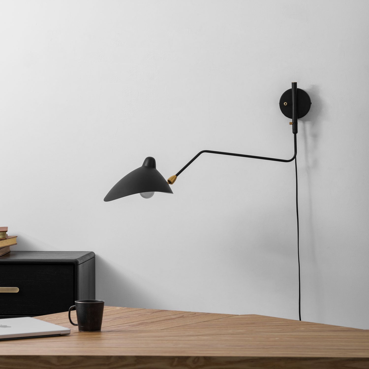 Adjustable Arm Wall Light