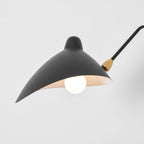 Adjustable Arm Wall Light