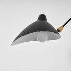 Adjustable Arm Wall Light