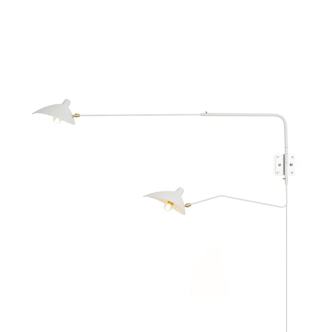 Adjustable Arm Wall Light