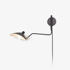 Adjustable Arm Wall Light