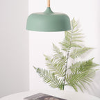 Acorn Ceiling Pendant Lighting Lobby