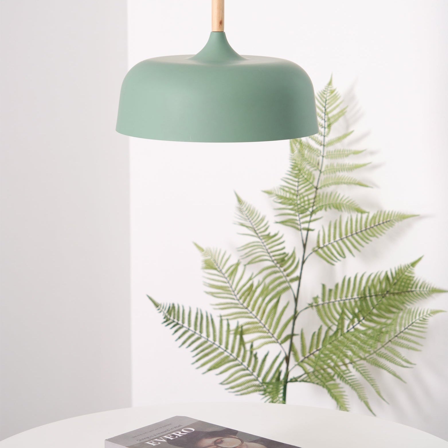 Acorn Ceiling Pendant Lighting Lobby