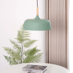 Acorn Ceiling Pendant Lighting Lobby