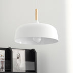 Acorn Ceiling Pendant Lighting Lobby