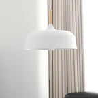 Acorn Ceiling Pendant Lighting Lobby