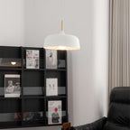 Acorn Ceiling Pendant Lighting Lobby