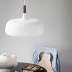Acorn Ceiling Pendant Lighting Lobby