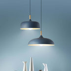 Acorn Ceiling Pendant Lighting Lobby