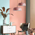 Acorn Ceiling Pendant Lighting Lobby