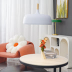Acorn Ceiling Pendant Lighting Lobby