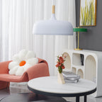 Acorn Ceiling Pendant Lighting Lobby