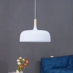 Acorn Ceiling Pendant Lighting Lobby