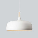 Acorn Ceiling Pendant Lighting Lobby