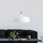 Acorn Ceiling Pendant Lighting Lobby