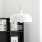 Acorn Ceiling Pendant Lighting Lobby