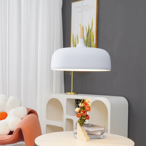 Acorn Ceiling Pendant Lighting Lobby