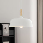 Acorn Ceiling Pendant Lighting Lobby