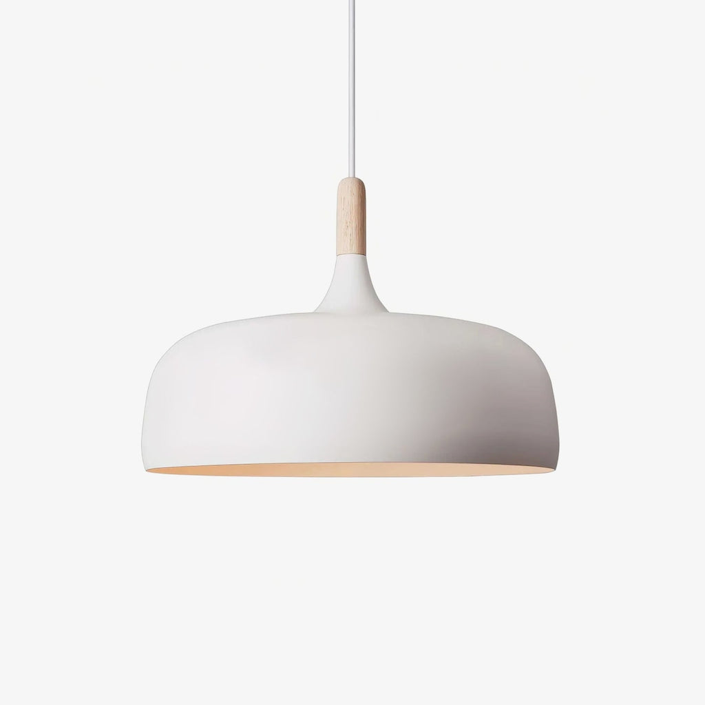 Acorn Ceiling Pendant Lighting Lobby