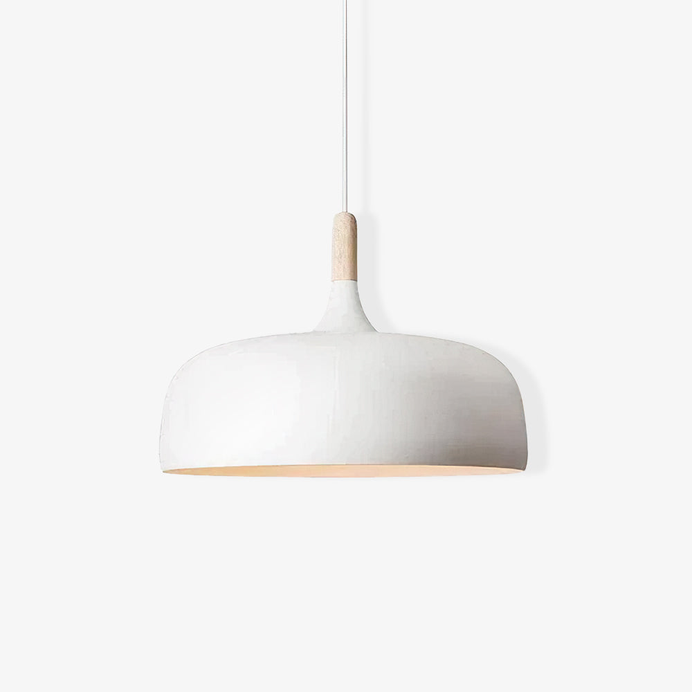 Acorn Ceiling Pendant Lighting Lobby