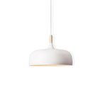 Acorn Ceiling Pendant Lighting Lobby
