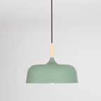 Acorn Ceiling Pendant Lighting Lobby