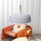 Acorn Ceiling Pendant Lighting Lobby