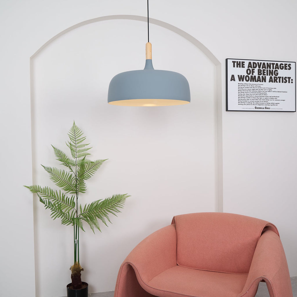 Acorn Ceiling Pendant Lighting Lobby