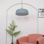 Acorn Ceiling Pendant Lighting Lobby