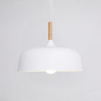 Acorn Ceiling Pendant Lighting Lobby