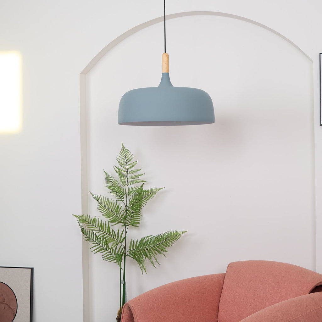 Acorn Ceiling Pendant Lighting Lobby