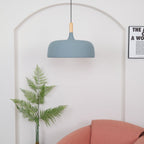 Acorn Ceiling Pendant Lighting Lobby