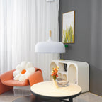 Acorn Ceiling Pendant Lighting Lobby