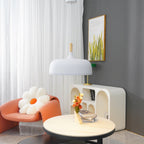 Acorn Ceiling Pendant Lighting Lobby