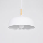 Acorn Ceiling Pendant Lighting Lobby