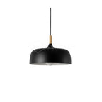 Acorn Ceiling Pendant Lighting Lobby