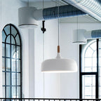 Acorn Ceiling Pendant Lighting Lobby