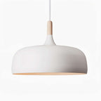 Acorn Ceiling Pendant Lighting Lobby