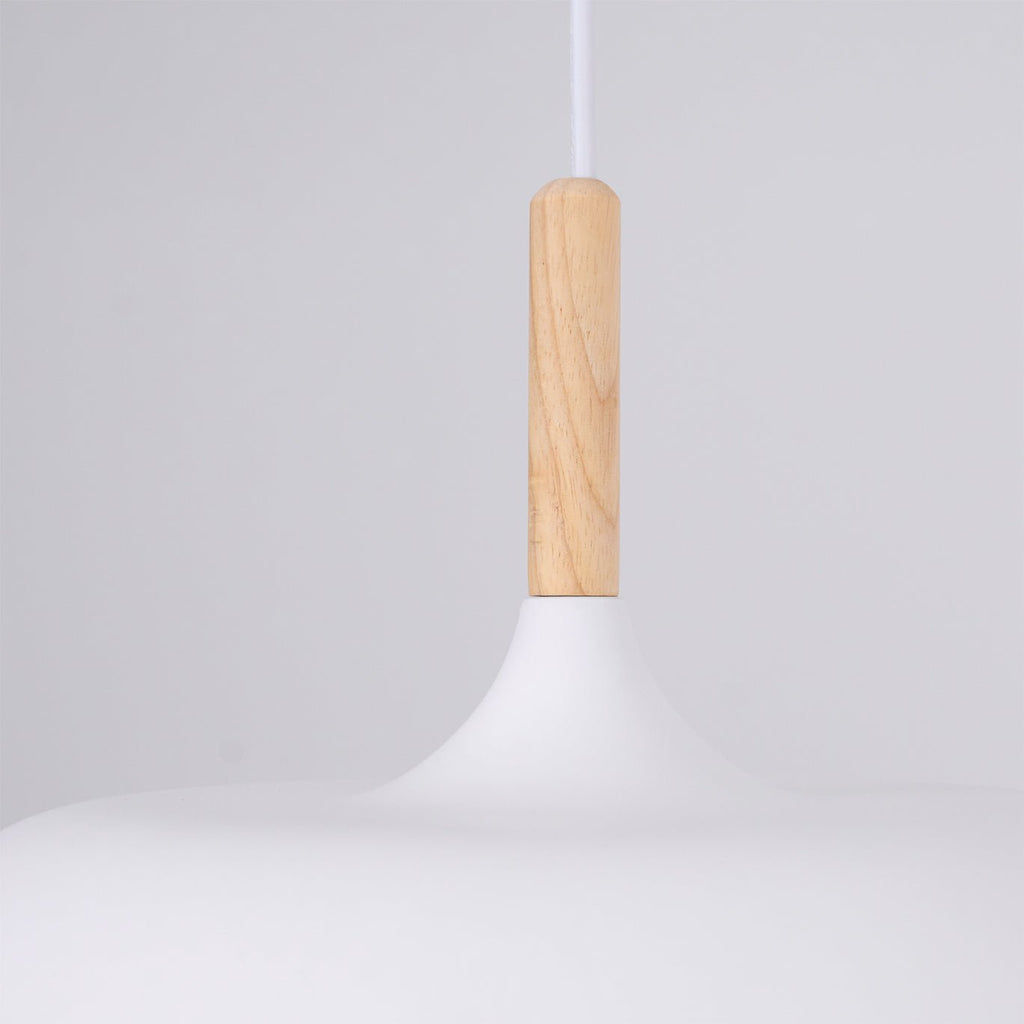 Acorn Ceiling Pendant Lighting Lobby