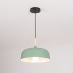 Acorn Ceiling Pendant Lighting Lobby