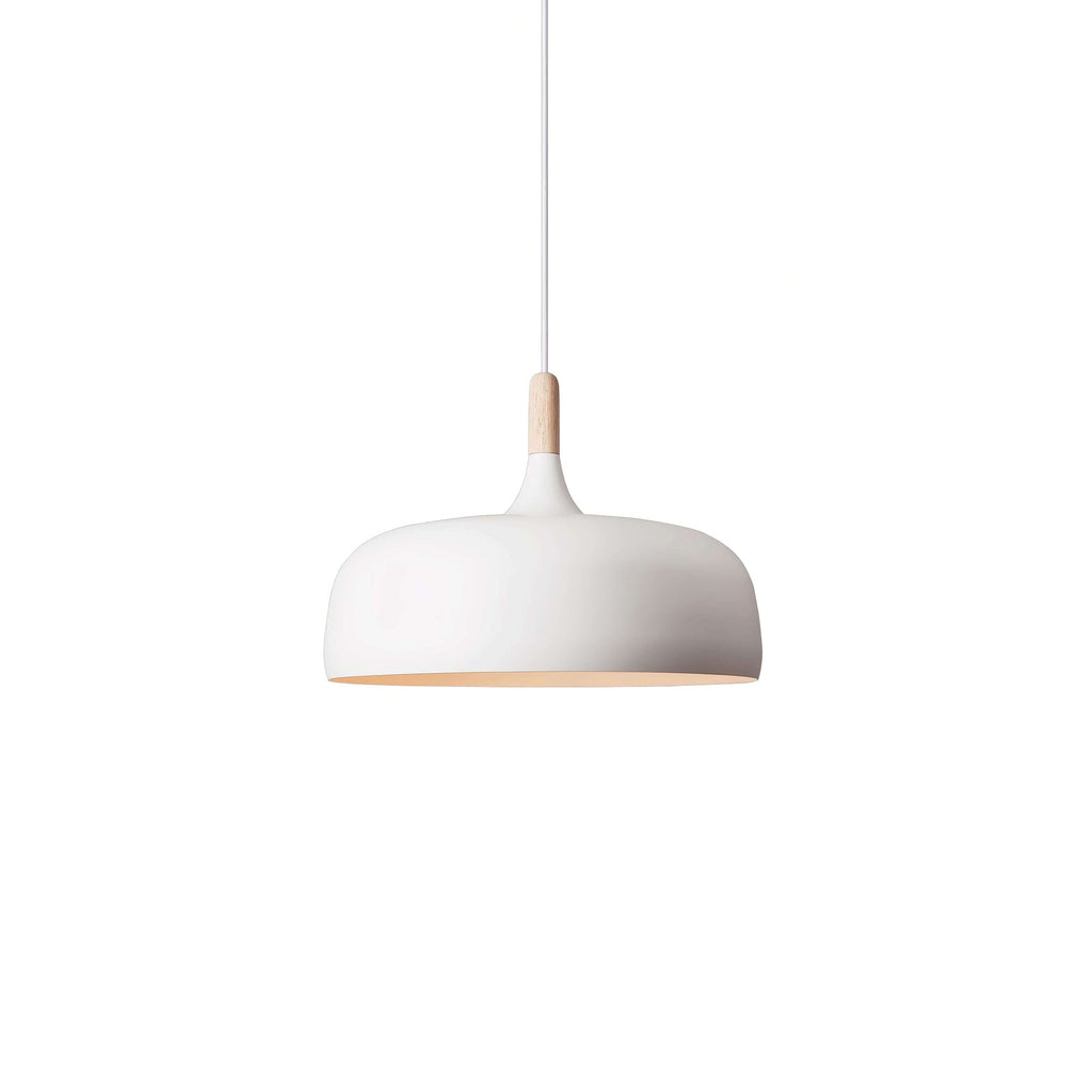 Acorn Ceiling Pendant Lighting Lobby