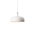 Acorn Ceiling Pendant Lighting Lobby