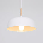 Acorn Ceiling Pendant Lighting Lobby