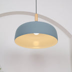 Acorn Ceiling Pendant Lighting Lobby